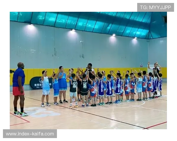 篮球训练营开展，年轻球迷参与度提升